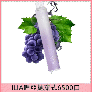 【多肉葡萄】|ILIA Bar 4哩亞6500口一次性電子煙#台灣現貨#